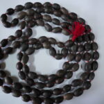 Lotus Mala